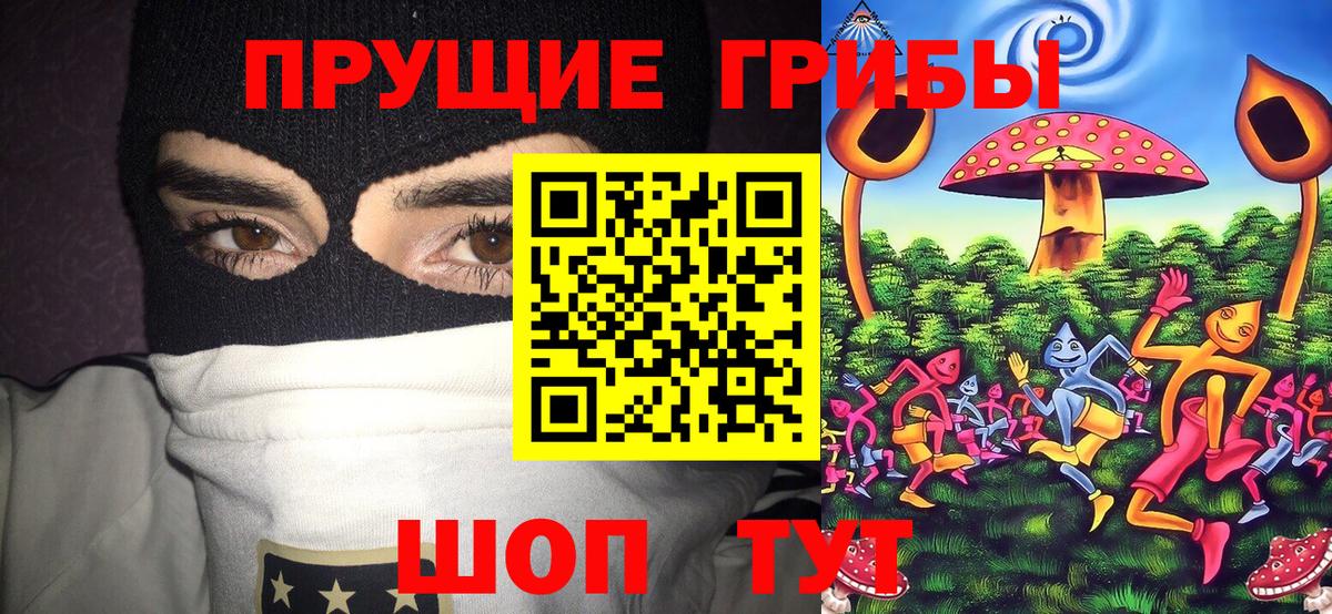 купить   Галлюциногенные грибы Psilocybe  Вход с VPN  Менделеевск 