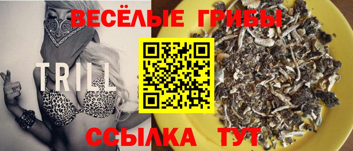 Галлюциногенные грибы MAGIC MUSHROOMS Менделеевск